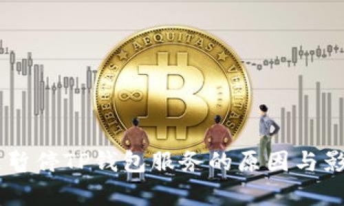 币安链暂停TP钱包服务的原因与影响分析