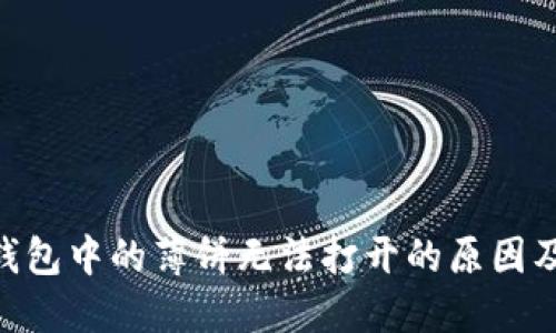 了解T P钱包中的薄饼无法打开的原因及解决方法