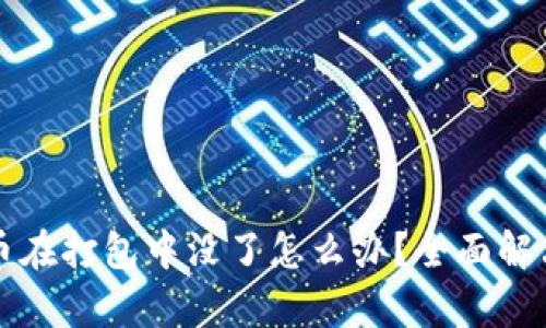 TP钱包提币在打包中没了怎么办？全面解决方案解析