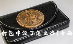 TP钱包提币在打包中没了怎么办？全面解决方案解