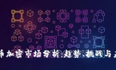 全球货币加密市场分析：趋势、挑战与未来展望