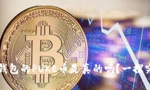 TP钱包的PUKE币是真的吗？一探究竟