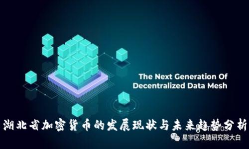 湖北省加密货币的发展现状与未来趋势分析
