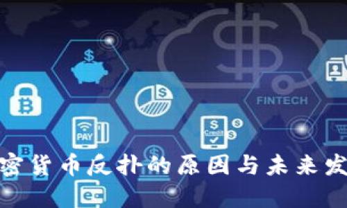 探索加密货币反扑的原因与未来发展趋势