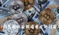如何处理TP钱包转账后缀有中文的问题及解决方案