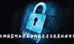 非洲国家对加密货币的接受度与发展现状分析