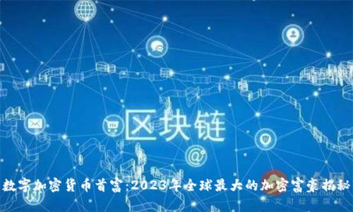 数字加密货币首富：2023年全球最大的加密富豪揭秘
