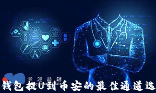 
TP钱包提U到币安的最佳通道选择