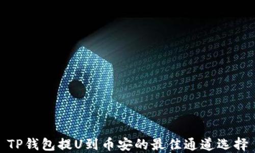 
TP钱包提U到币安的最佳通道选择