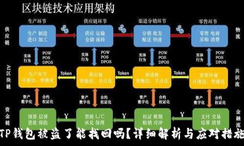  
TP钱包被盗了能找回吗？详细解析与应对措施