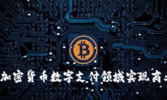 如何在加密货币数字支付领域实现商业成功？