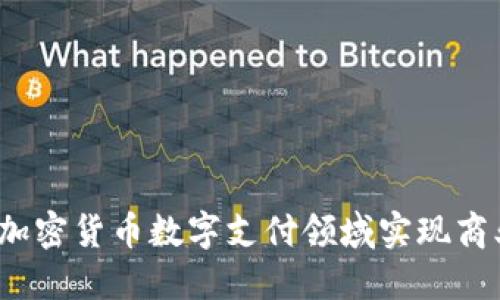 如何在加密货币数字支付领域实现商业成功？
