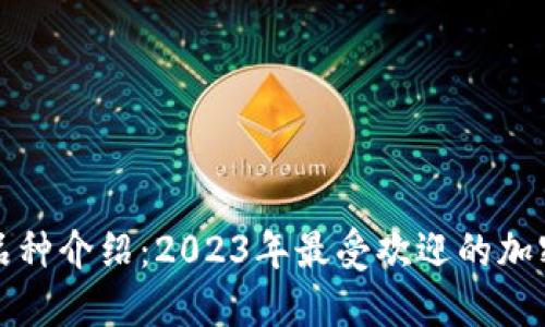 加密货币品种介绍：2023年最受欢迎的加密货币一览