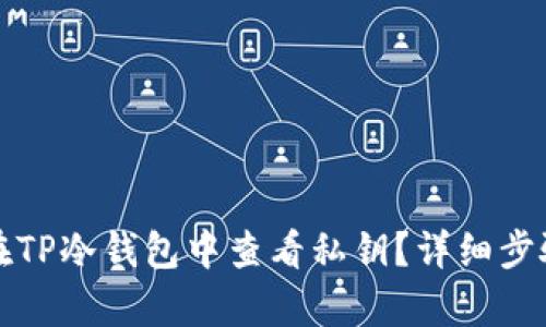 如何在TP冷钱包中查看私钥？详细步骤解析