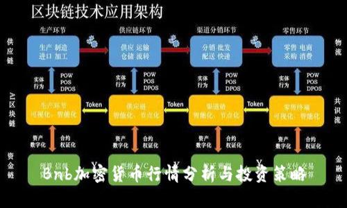 Bnb加密货币行情分析与投资策略