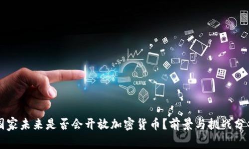 国家未来是否会开放加密货币？前景与挑战分析