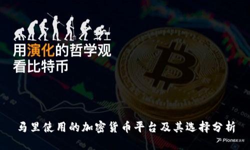 马里使用的加密货币平台及其选择分析