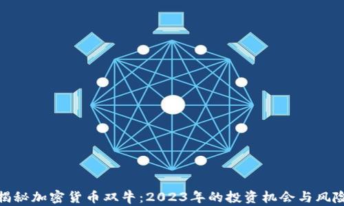 
揭秘加密货币双牛：2023年的投资机会与风险