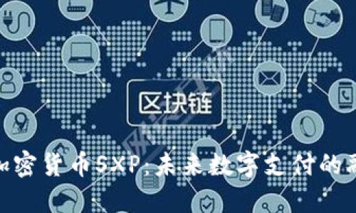 Visa与加密货币SXP：未来数字支付的融合趋势