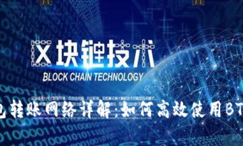 tp钱包转账网络详解：如何高效使用BTC钱包