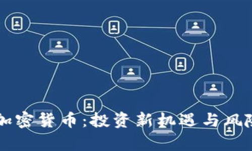 刘洋加密货币：投资新机遇与风险分析
