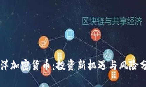 刘洋加密货币：投资新机遇与风险分析