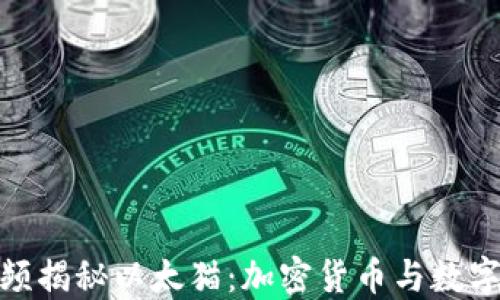 
如何通过视频揭秘以太猫：加密货币与数字收藏的结合