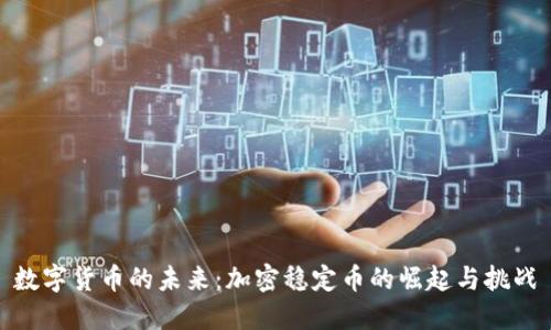 数字货币的未来：加密稳定币的崛起与挑战