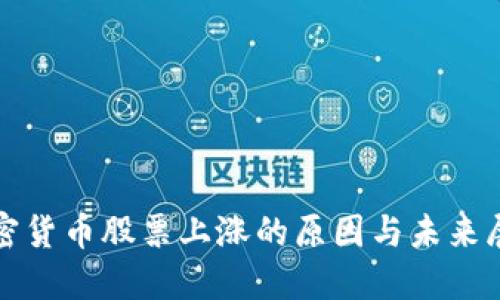 加密货币股票上涨的原因与未来展望