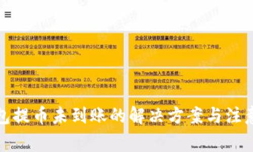 TP钱包提币未到账的解决方案与注意事项