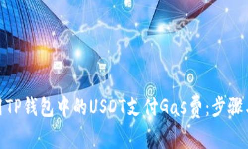 : 如何使用TP钱包中的USDT支付Gas费：步骤与注意事项
