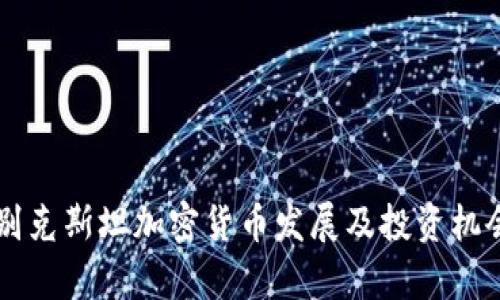 乌兹别克斯坦加密货币发展及投资机会分析