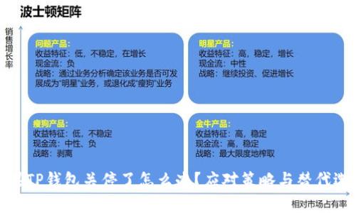 如果TP钱包关停了怎么办？应对策略与替代选择