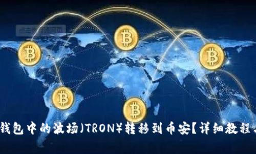 :如何将TP钱包中的波场（TRON）转移到币安？详细教程与注意事项