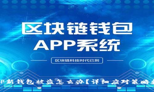 刚创建的TP新钱包被盗怎么办？详细应对策略和预防措施