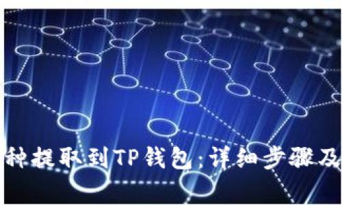 如何将币种提取到TP钱包：详细步骤及注意事项