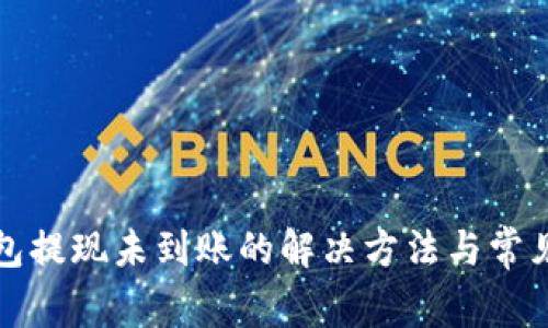 TP钱包提现未到账的解决方法与常见问题