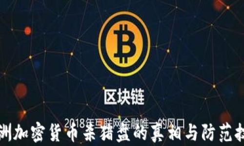 
欧洲加密货币杀猪盘的真相与防范技巧