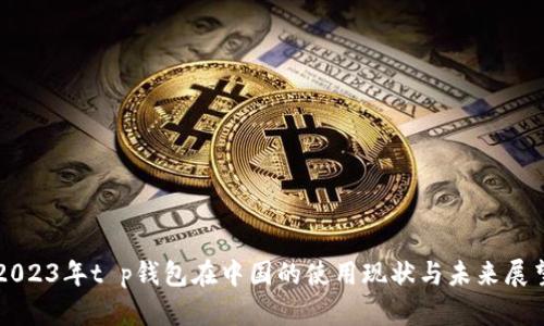 2023年t p钱包在中国的使用现状与未来展望