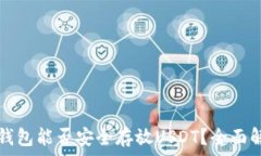   TP钱包能否安全存放USDT？全面解析