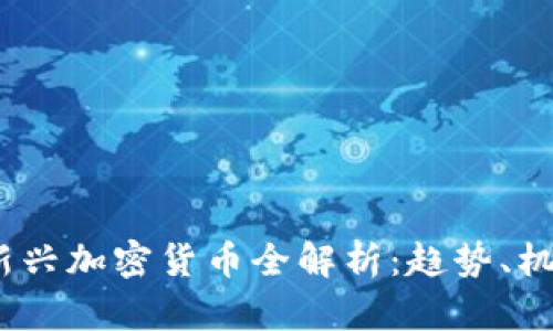2020年新兴加密货币全解析：趋势、机会与风险