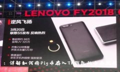 : 详解如何将Pig币存入TP钱包的全面教程