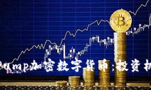全面解析Pump加密数字货币：投资机会与风险
