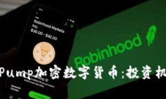 全面解析Pump加密数字货币：投资机会与风险
