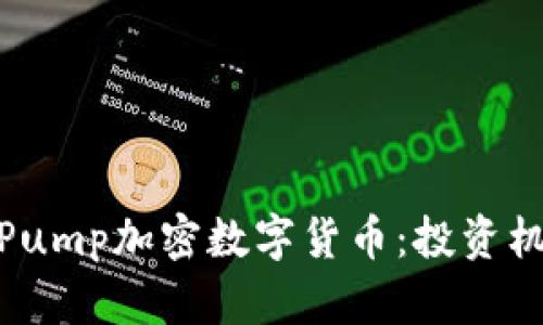 全面解析Pump加密数字货币：投资机会与风险