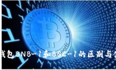 了解TP钱包BNB-1和BSC-1的区别与使用指南