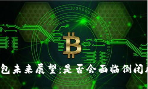 TP钱包未来展望：是否会面临倒闭风险？