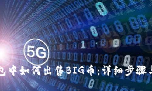 TP钱包中如何出售BIG币：详细步骤与指南