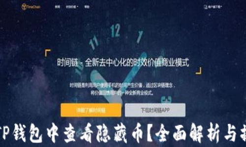 
如何在TP钱包中查看隐藏币？全面解析与操作指南