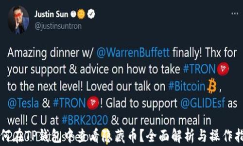 
如何在TP钱包中查看隐藏币？全面解析与操作指南